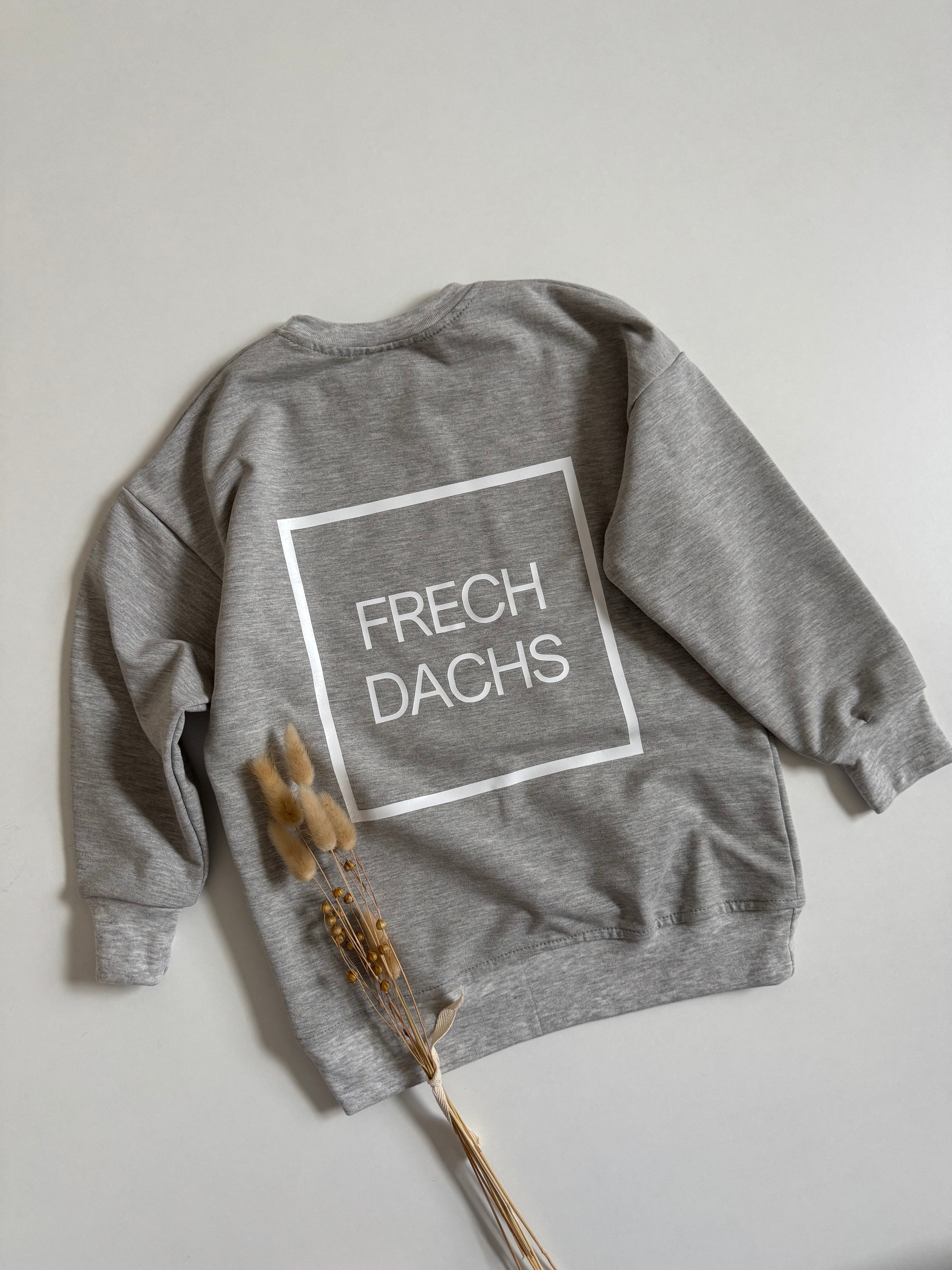 Gr. 116 - Frechdachs Sweater - grau