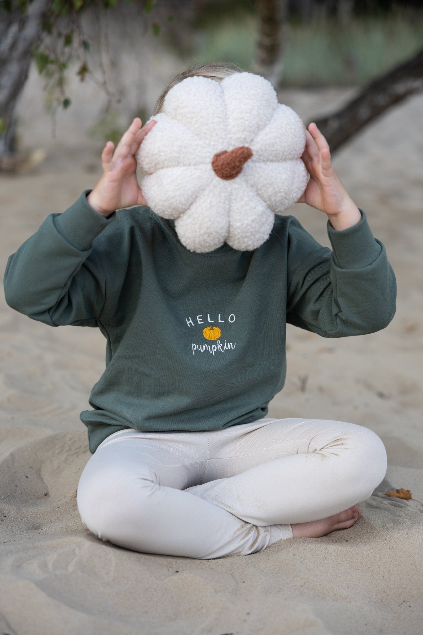 Hello Pumpkin - Sweater
