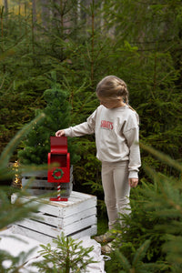 Santa's Favorite - Sweater - hejleen handmade