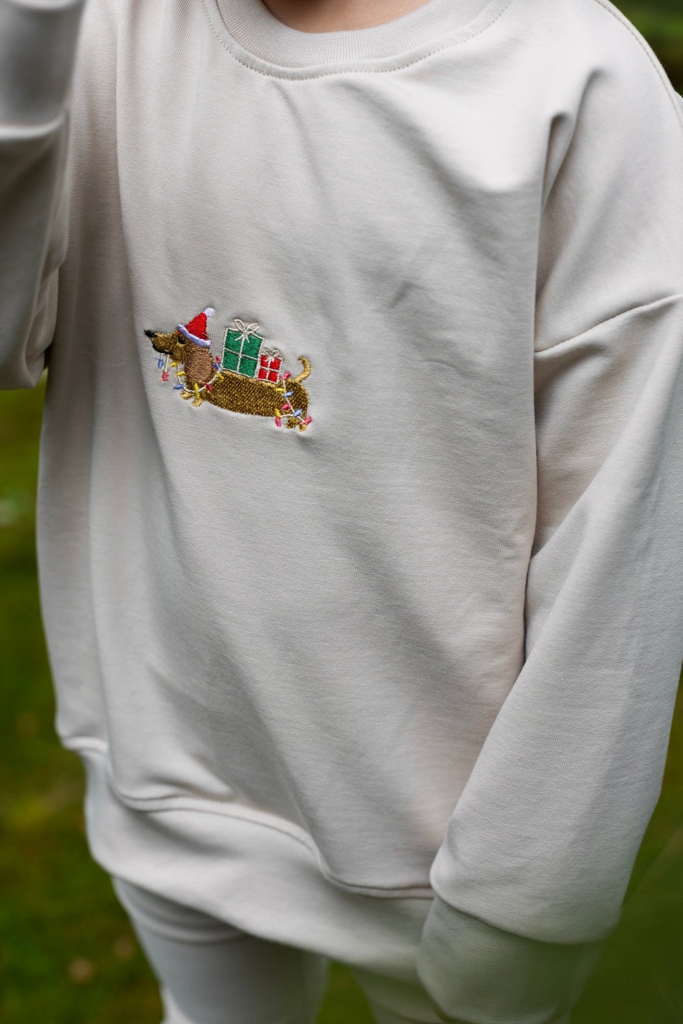 Weihnachtshund - Sweater